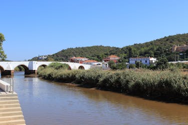 Excursion en bateau dans le village de Silves au départ de Portimão